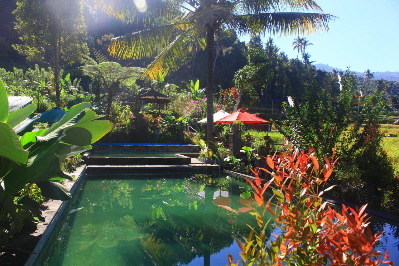 Amartya Puri Green Cottages Munduk Exterior foto