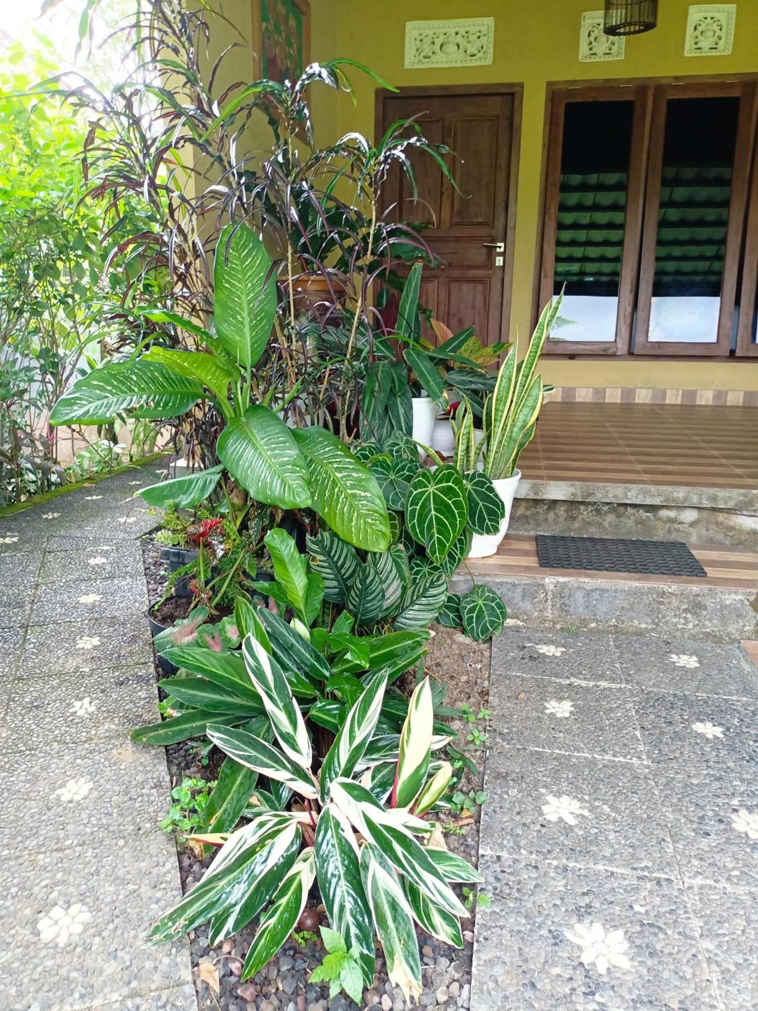 Amartya Puri Green Cottages Munduk Exterior foto