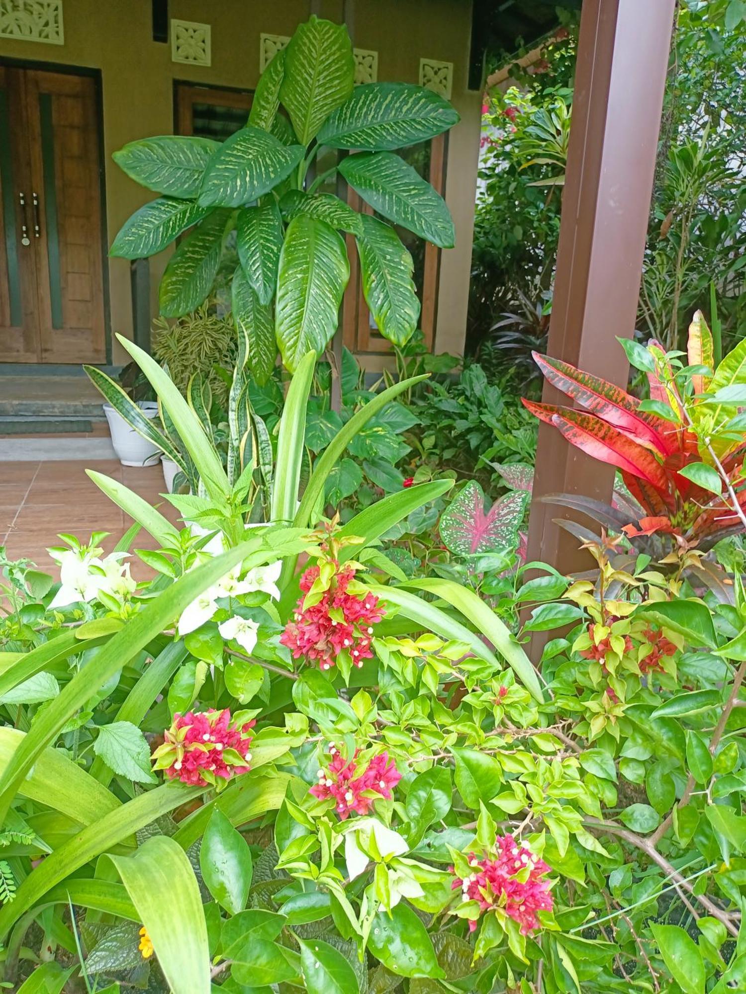 Amartya Puri Green Cottages Munduk Exterior foto