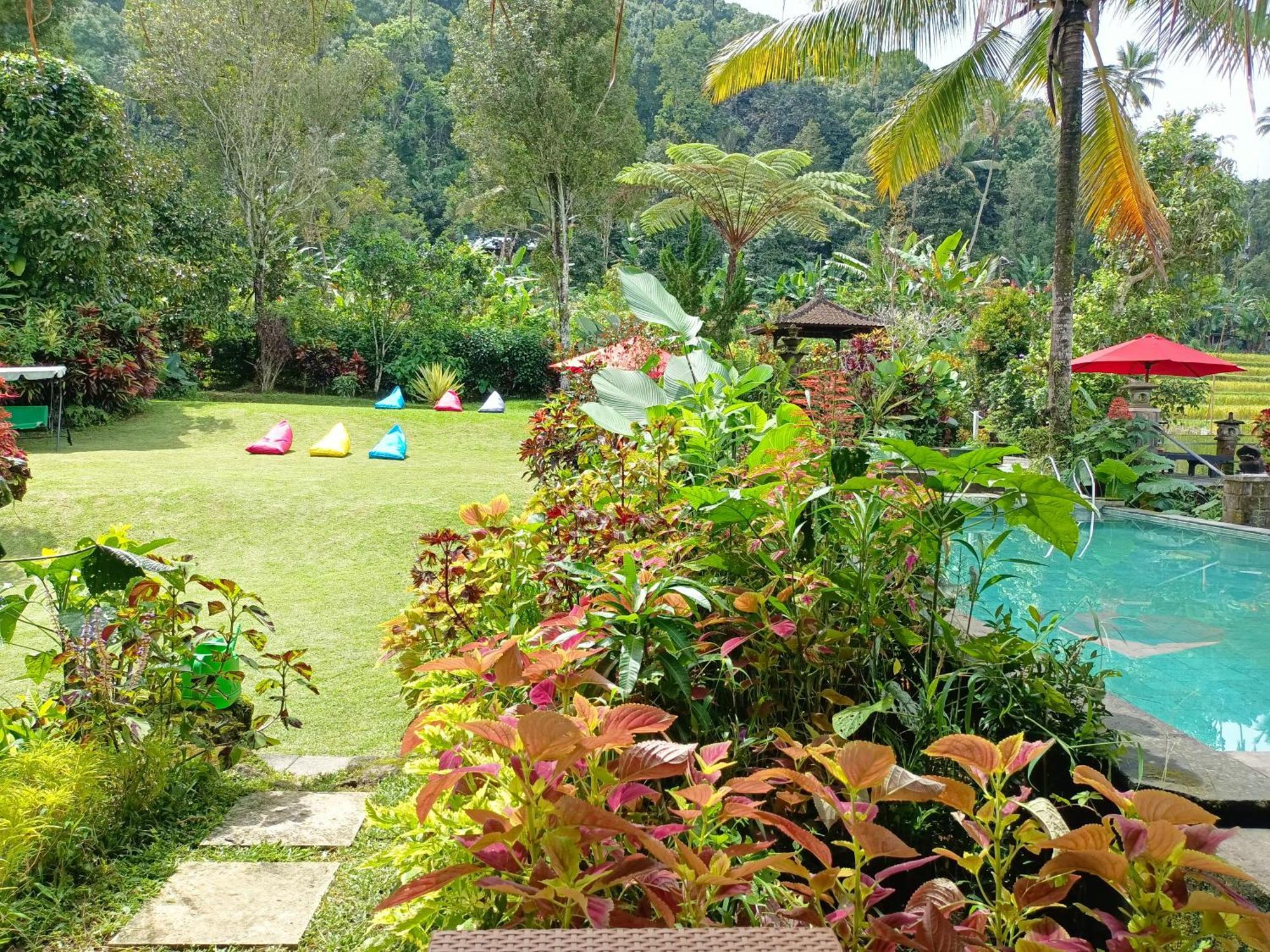 Amartya Puri Green Cottages Munduk Exterior foto